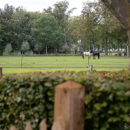 De Bovenstede Appartement